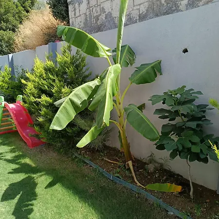 Havuzlu lüks villa havuzu ısıtmalı